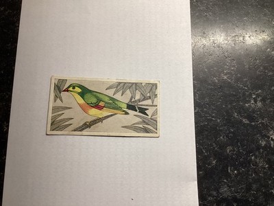 BARRATTS - CAGE & VOLIERE VÖGEL - No 14 - PEKIN ROBIN