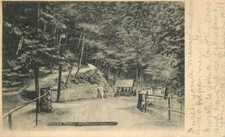 Binghamton New York Gross Park 1905 Postcard undivided 445