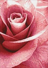 Pink Rose CS019 11.81 x 15.75 inches Crafting Spark Diamond Painting Kit