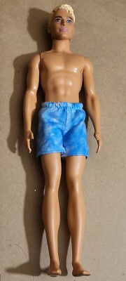 Mattel 2016 Barbie Ken Doll Fashionistas Blonde Molded Hair C305G