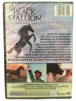 (未使用･未開封品)Adventures of Black Stallion: First Season [DVD] Amazon.co.jp: Adventures of Black Stallion: First Season [DVD] : DVD