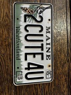 Maine Vanity License Plate 2CUTE4U Expired Over 3 Years