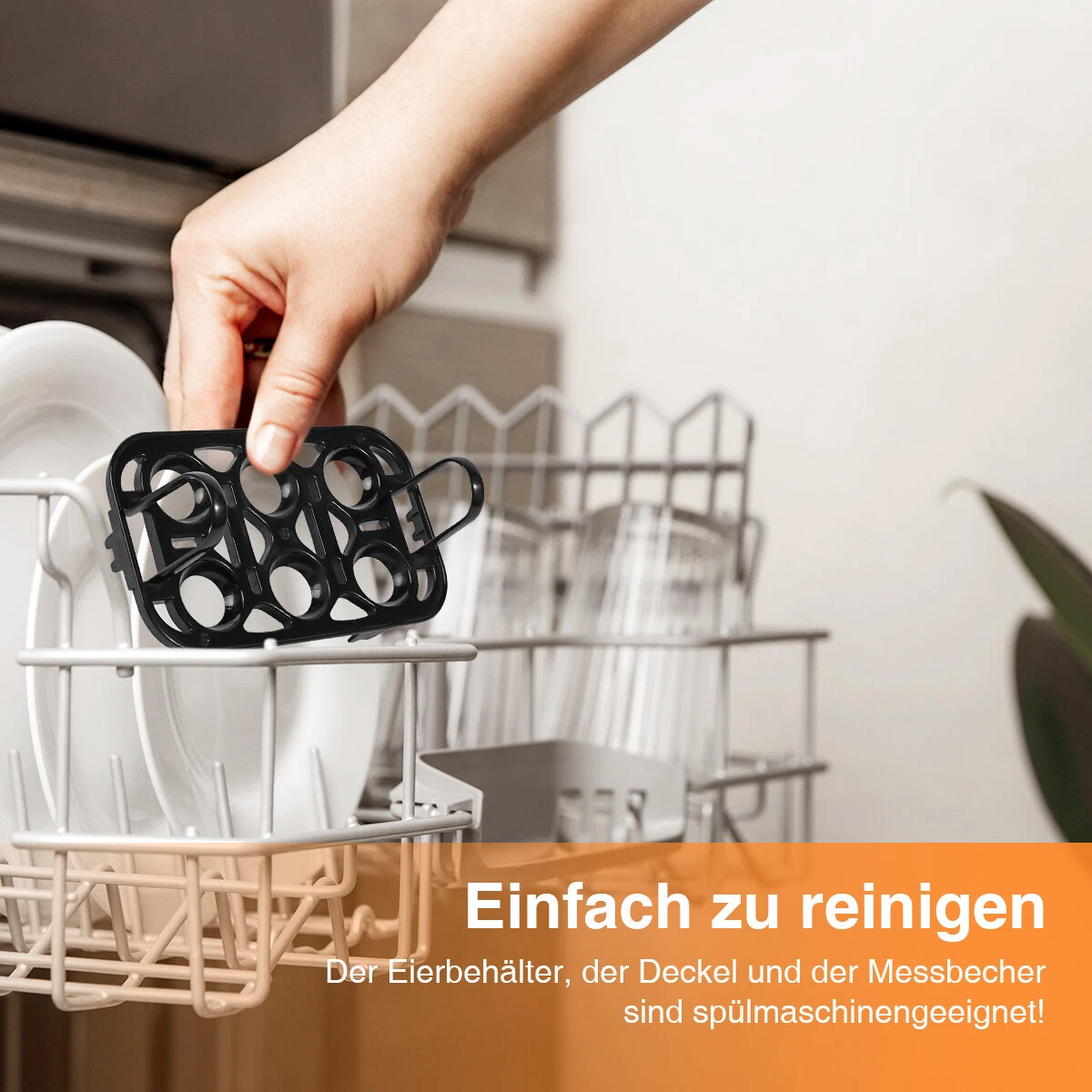 Bild 7 von 10