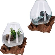 Große Dekoschale Glas auf Wurzelholz | Handgemacht Unikat | Naturdeko Vase