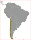 Imagen 4 de 4