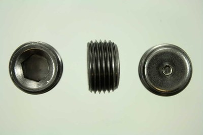 Pipe Plug Pioneer PP554T25