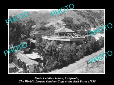 OLD 6x4 PHOTO OF SANTA CATALINA ISLAND CALIFORNIA WORLD BIGGEST BIRD CAGE c1938