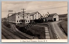 Real Photo View Of The Page Seed Company At Greene NY Chenango New York RP J223
