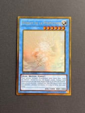 Carta Yu-Gi-Oh - JCC - Araldo della Perfezione - GLD5-FR030