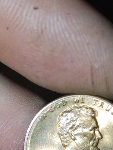 1985 Penny NMM and rim error, "IN GOD WE TRUST" on rim. - Picture 6 of 8