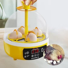 Digital Egg Incubator Poultry Hatcher Egg Turner Tray Portable 8 Eggs Egg