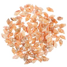 100 Pcs Round Shells Pieces Crafts Conch Decor for Landscape Delicate