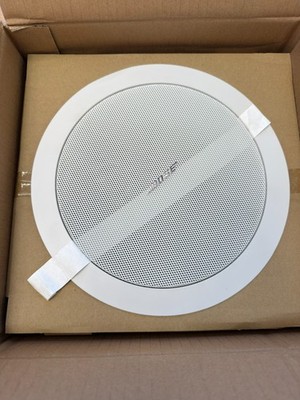 Bose Freespace - DS 16F - Weiß