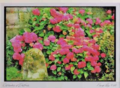 Garten 131066 Hortensie Macrophylla neben Meilenstein A3 Aquarelldruck