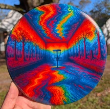 *New Custom Axiom Discs Electron ENVY 169gm Putt & Approach PDGA Approch