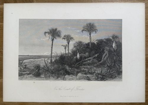 1872 An der Küste Floridas von Harry Fenn Stahlstich von Hinshelwood - Bild 1 von 12