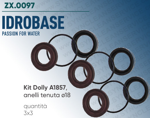 Ridai Vita alla tua Pompa Annovi Reverberi con il Kit 1857 Idrobase