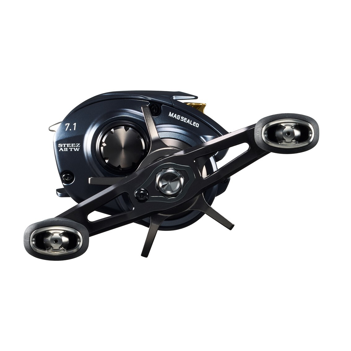 Daiwa 23 Steez A II TW 1000H (Right) Baitcasting Reel Japan New | eBay