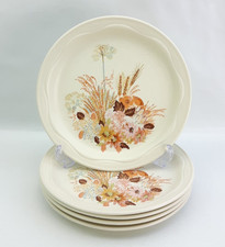 Poole Pottery Summer Glory - 5x 22cm Salad Side Plates - Floral Vintage