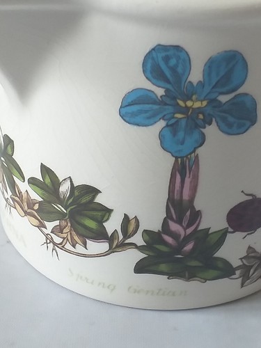 Taza de jardín botánico Portmeirion + platillo, jarra o azucarero - varios tamaños elige 1 - Imagen 52 de 68