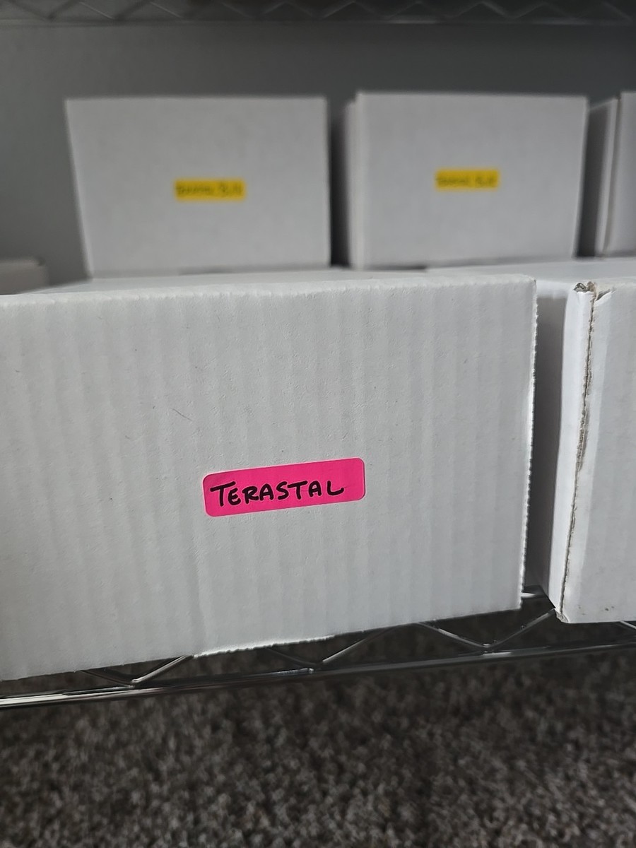 💥 Pokemon Card Bulk lot 200 Cards And A Graded CGC Slab Gem Mint 10 🔥💥