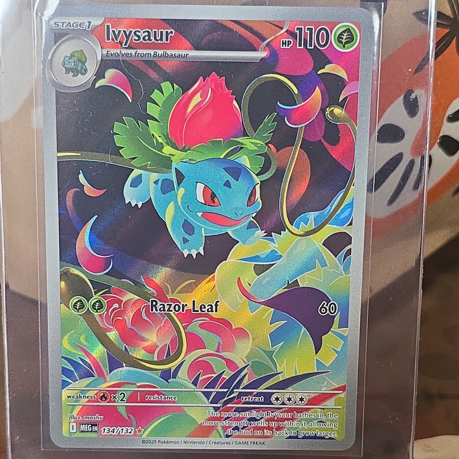 Pokemon Mega Evolution #134/132 Ivysaur Illustration RARE