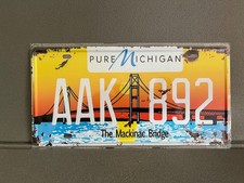 Targa metallica auto americana immatricolazione Michigan 15 x 30 cm