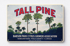 Tall Pine Brand Fruit Crate Label Polk Florida Vintage 8x12 Aluminum Metal Sign
