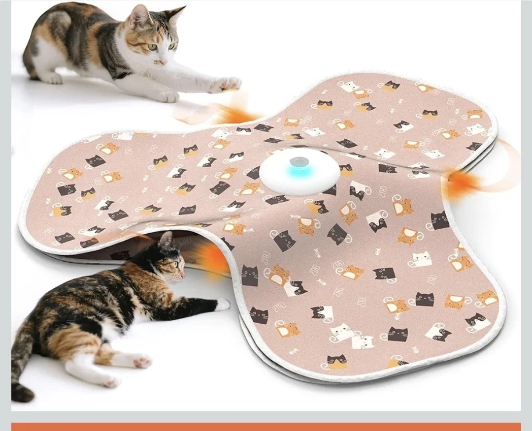 Interactive Cat Toy for Indoor Cats Adult, Automatic Cat Toy for Kitten, Motion
Opens in a new windo