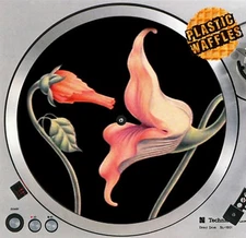 Pink Floyd Flowers The Wall Slipmat 12" LP Scratch Pad Slip Mat DJ Audiophile x1