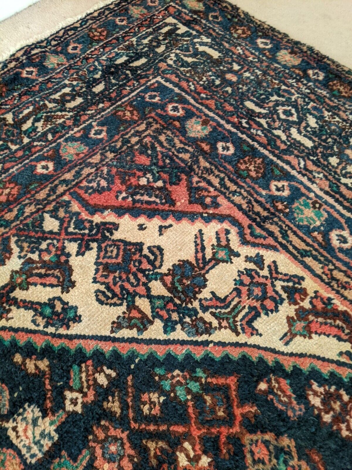 Picture 11 of 24