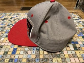 NINTENDO NES Controller Gray & Red Snapback Hat Cap Retro Classic Official 