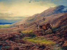 IN THE HIGHLANDS by A. Thorburn deers Tile Mural Kitchen Backsplash Ceramic 10x8