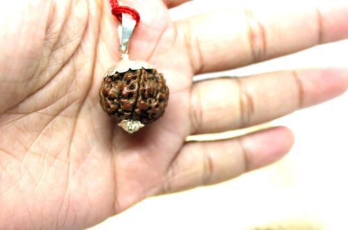 RUDRAKSHA RUDRAKSH 5 MUKHI SAMMLER QUALITÄT PERLENANHÄNGER HINDU YOGA GEBET SELTEN - Bild 2 von 8