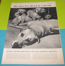 RHODESIAN RIDGEBACK DOG/KENNEL CLUB/WILLIAM O'BRIEN/STEPHEN PAINE/PAUL DRAPER