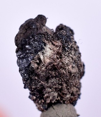 0,9 cm NATIVE SILVER WIRES Peru Uchuchaccua Mine 2000 Discovery Mineral H363