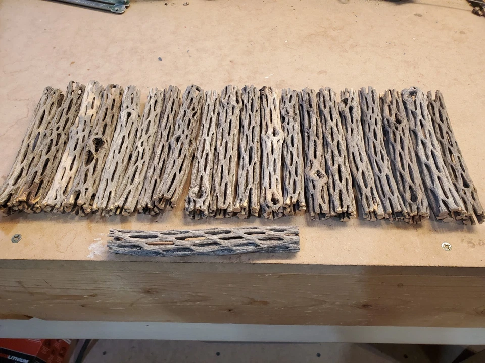 20 pcs 6" inch CHOLLA Wood Cactus | ORGANIC, Untreated | Shrimp Aquarium CRAFTS! - Image 4 of 4