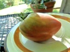 Longhorn - for salad and sauces, developed at J&L Gardens 