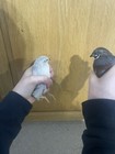 Picture 5 of 20