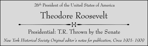 Theodore Roosevelt Original Publication Proofs w/ Editor's Notes Senate - Picture 8 of 8