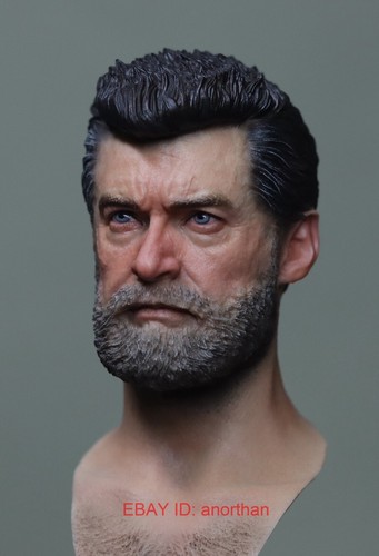 Custom Nancy X-Men Old Wolverine Hugh Jackman 1/6 Scale Male Figure Head Sculpt - Picture 3 of 6