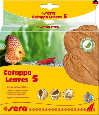 sera Catappa Leaves S 10-15 cm (10St) - Seemandelbaumblätter für die natürliche