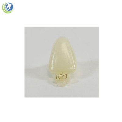 DENTAL POLYCARBONATE TEMPORARY CROWNS #100 (URC) UPPER RIGHT CENTRAL 5/PACK