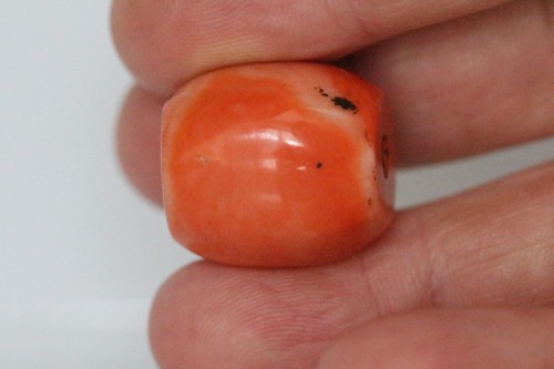 Authentic Near Eastern Ancient Undyed Salmon Coral Bead 22mm 15g Vintage Gem - Picture 2 of 5