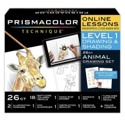 Prismacolor Technique Art Set Drawing & Shading Online Lessons Giraffe Level 1