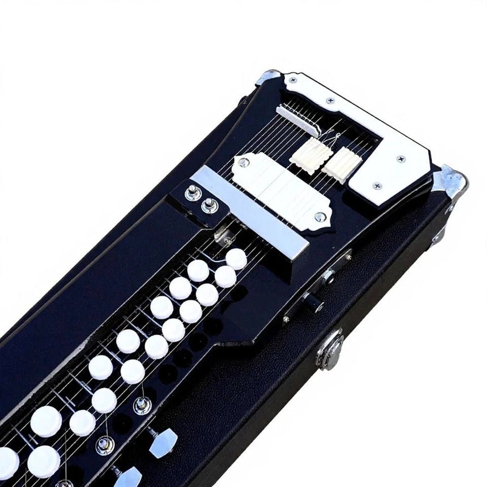 Bulbul Tarang Banjo 29 teclas 14 cuerdas instrumento musical indio con estuche rígido Foto 3 de 4