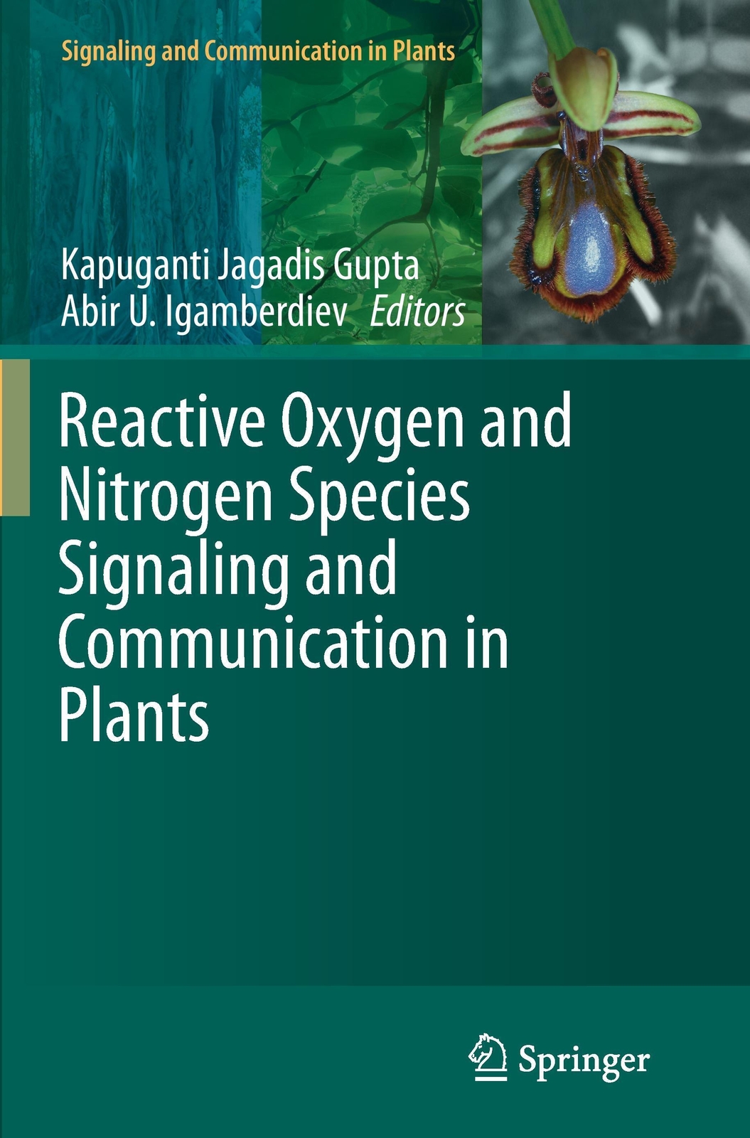 Thumbnail - Abir U. Igamberdiev (u. A.) | Reactive Oxygen And Nitrogen Species