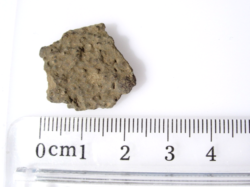 2.84 grams•NWA 16003 METEORITE•CK3•Individual As Found•COA | eBay
