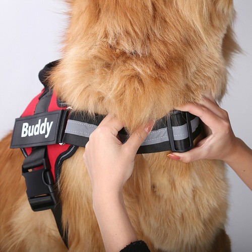 Personalized Dog Harness NO PULL Reflective Breathable Puppy Vest Padded Handle - Picture 7 of 39