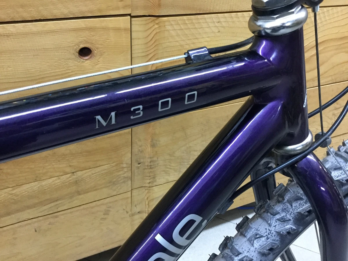Cannondale cheap m300 se